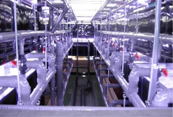 ホームセンター水槽給排水配管写真